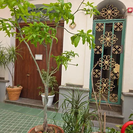 Nostra Casa